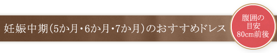 妊娠中期（5か月・6か月・7か月）のおすすめドレス